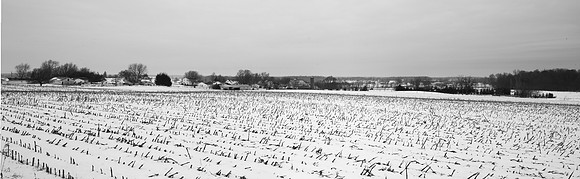 bleak winter